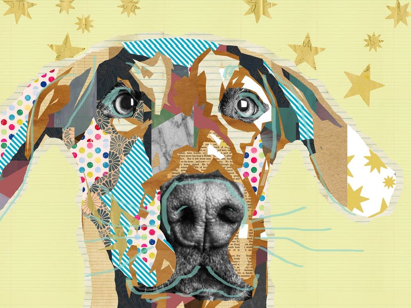 Cute Dog Collage