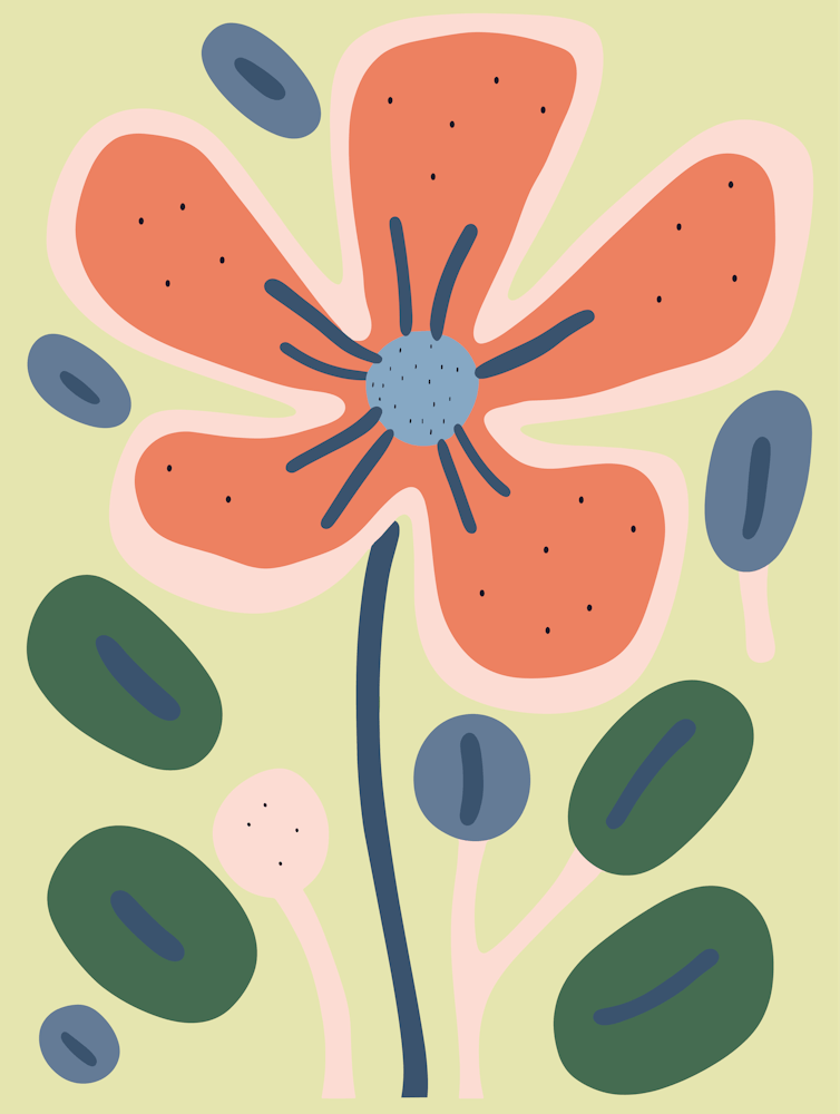 Poppy Flower