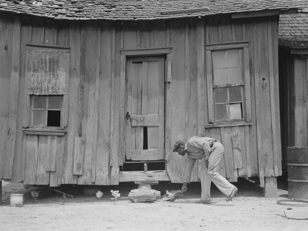 Rear Of Sharecropper S Cabin, Southeast Missouri Farms By Russell Lee