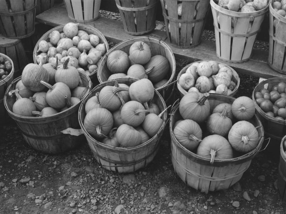 Pumpkins And Turnips Near Berlin, Connecticut By Russell Lee