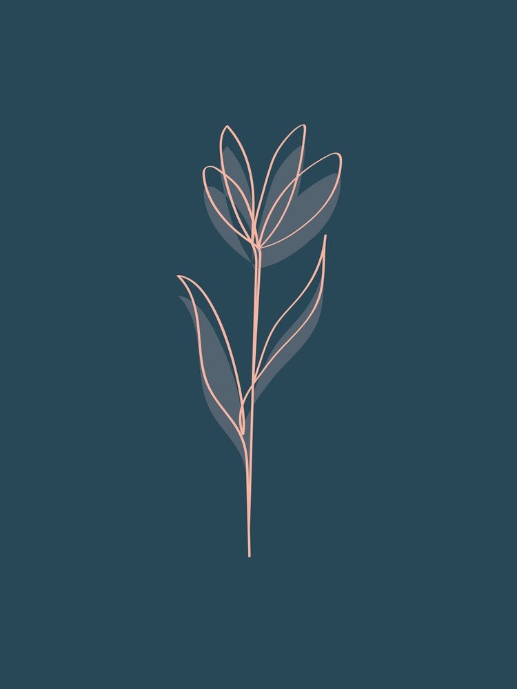 Bloom