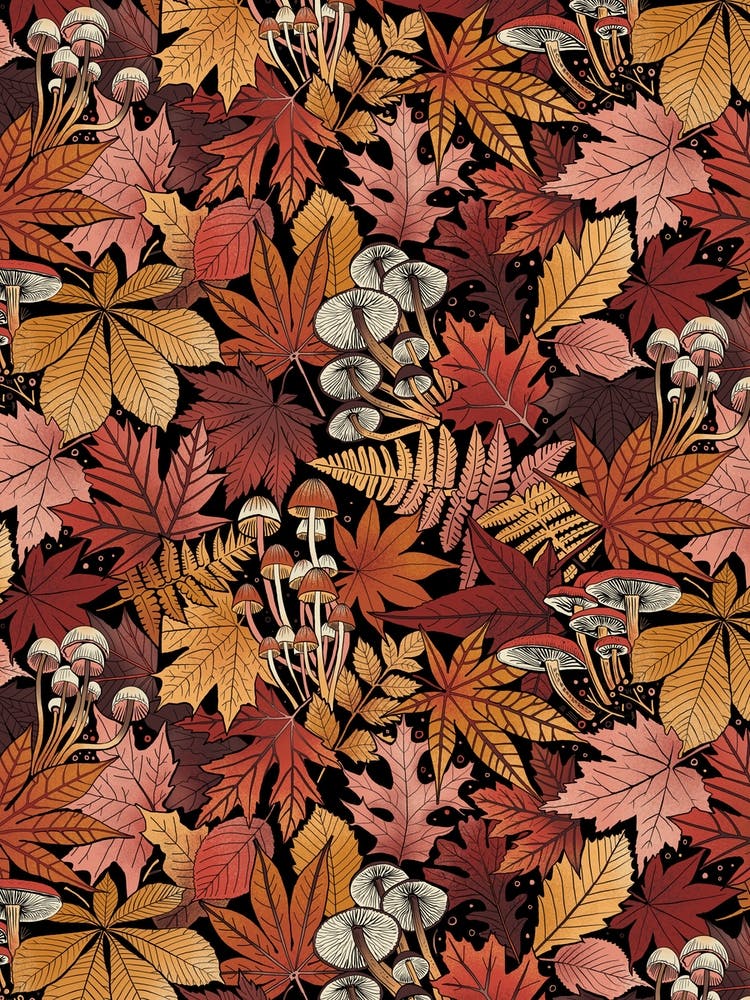 Autumn Leaves And Mushrooms