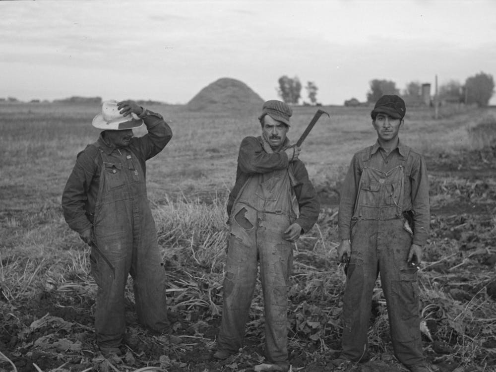 Untitled Photo, Possibly Related To Mexican Beet Workers, Near Fisher, Minnesota By Russell Lee