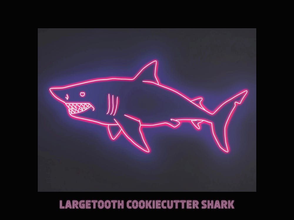 Neon Pink Largetooth Cookiecutter Shark 1 Poster