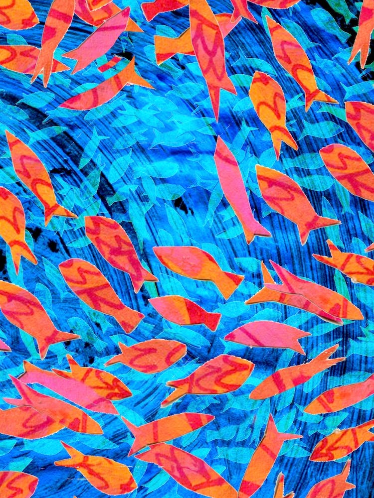 Poisson Orange