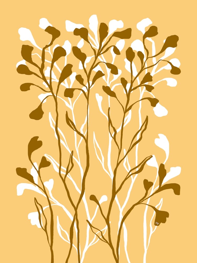 Brown Plants