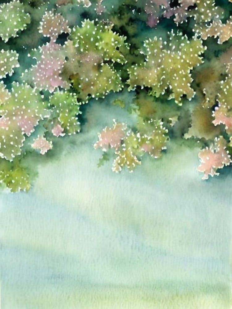 Acropora Hoeksemai Storybook Watercolour