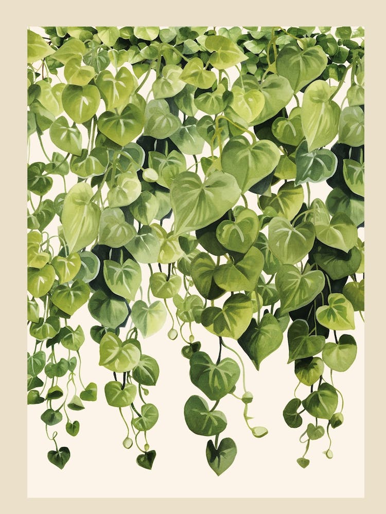 Green Hanging Ivy