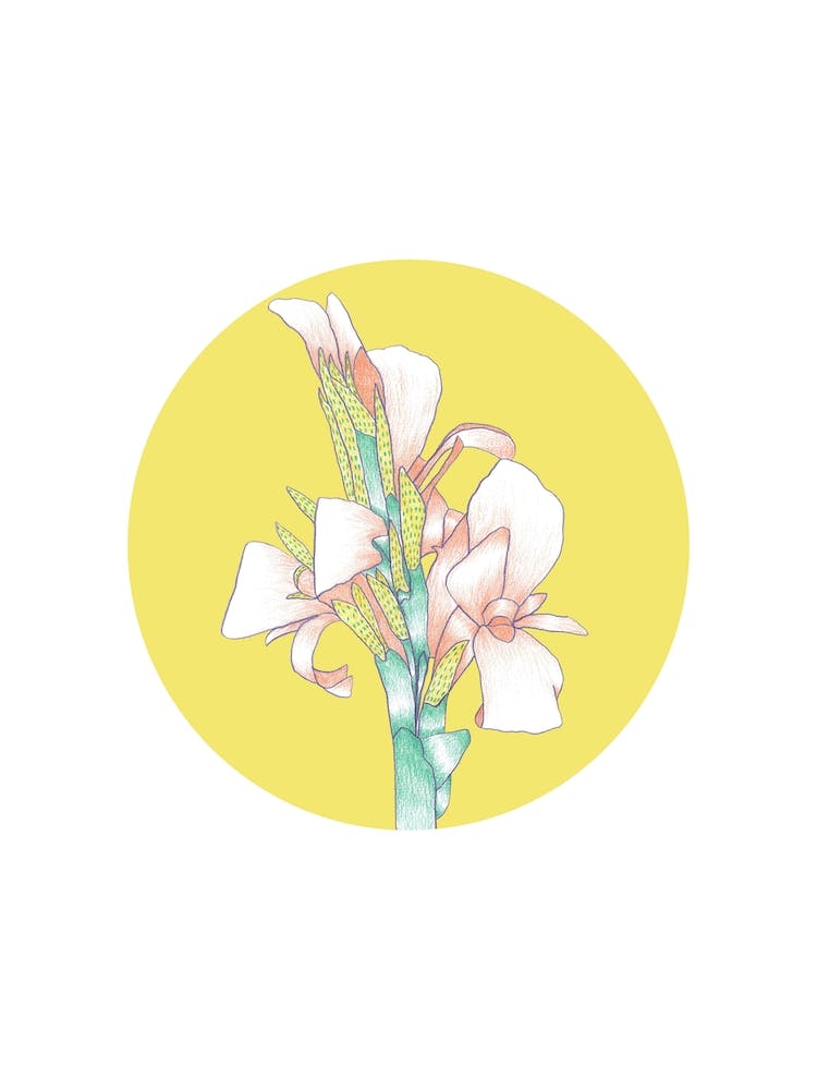 Hybrid-Bouquet