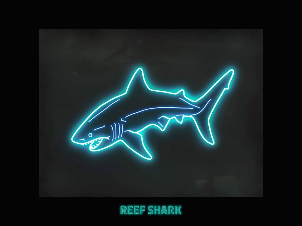 Neon White Tip Reef Shark 6 Poster