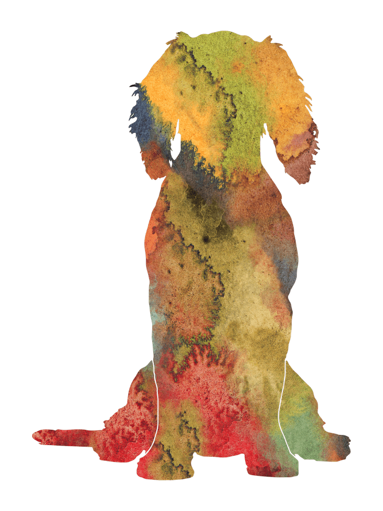 Watercolor Boykin Spaniel Dog