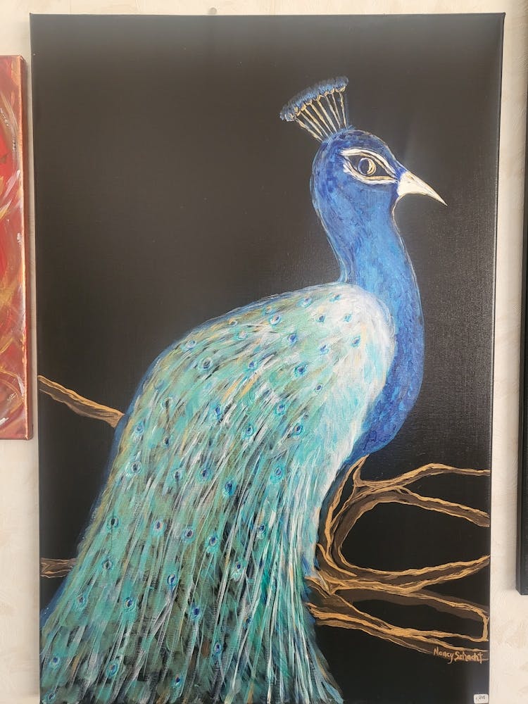 Peacock 4