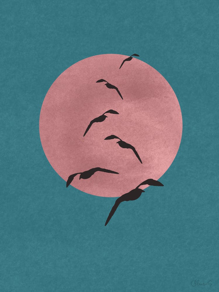 Seagulls On The Pink Moon