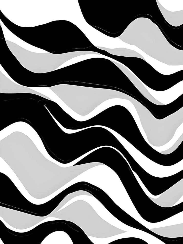 Abstract Black And White Zebra Stripes