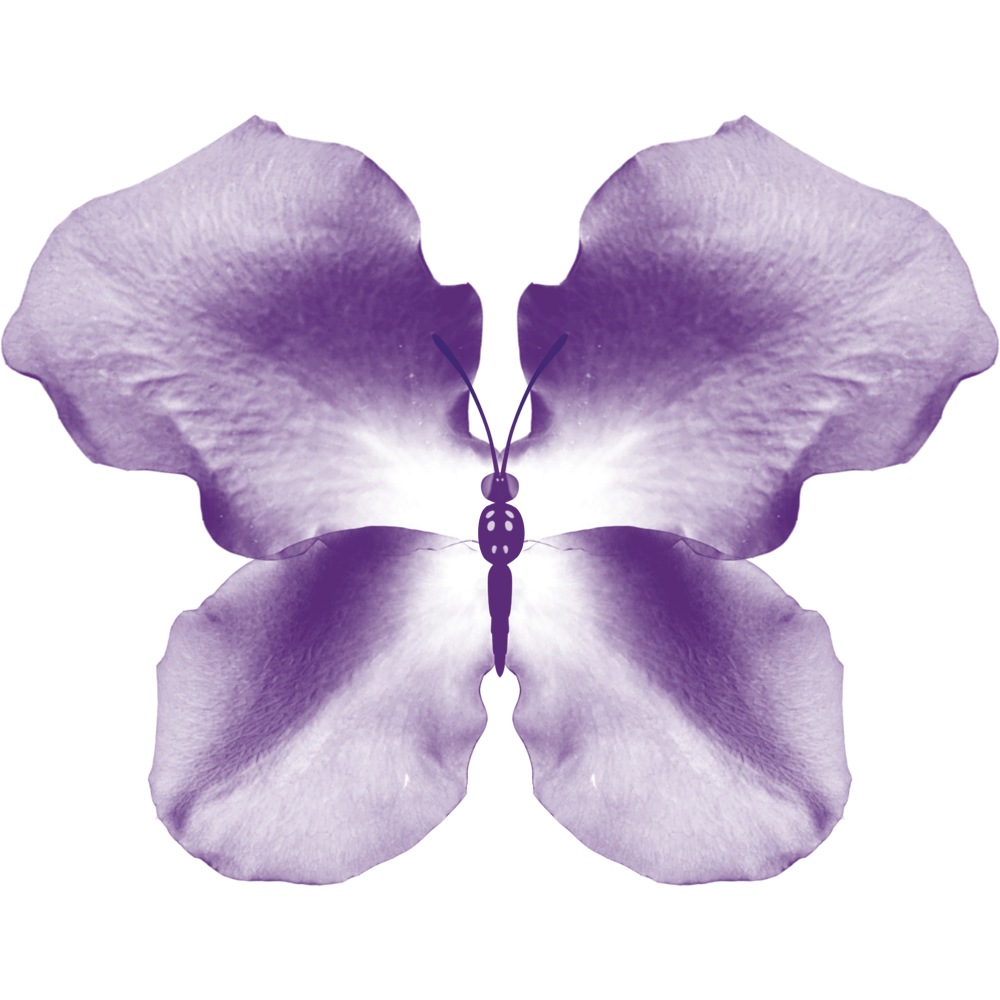 Purple Rose Petal Butterfly