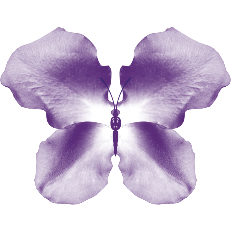 Purple Rose Petal Butterfly
