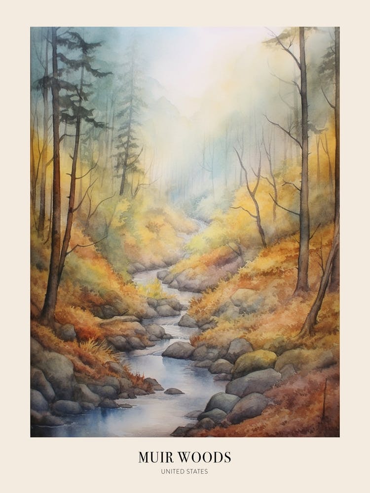 Paysage forestier d'automne Parc National de Muir Woods Affiche