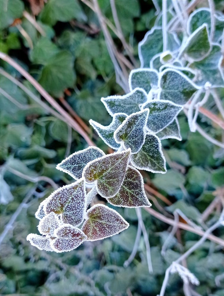 Img 87ab5d46d33c6bc1fcb959a611f6c671 V