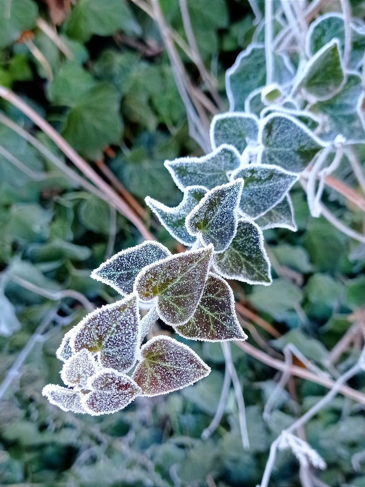 Img 87ab5d46d33c6bc1fcb959a611f6c671 V