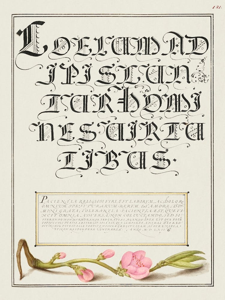 Almond In Flower From Mira Calligraphiae Monumenta, Joris Hoefnagel