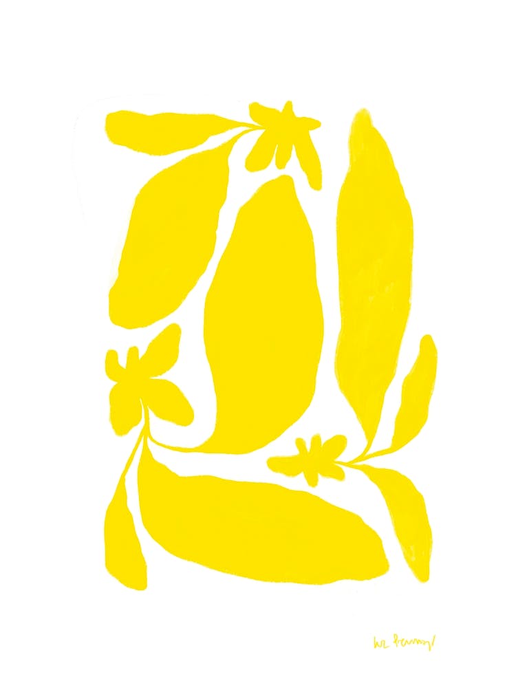 Spring Yellow Flowers 6