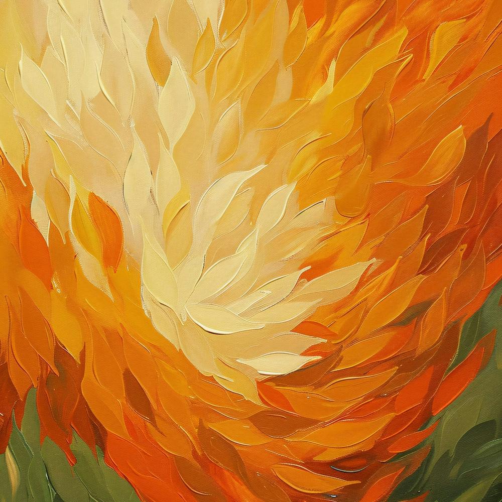 Orange Tulip