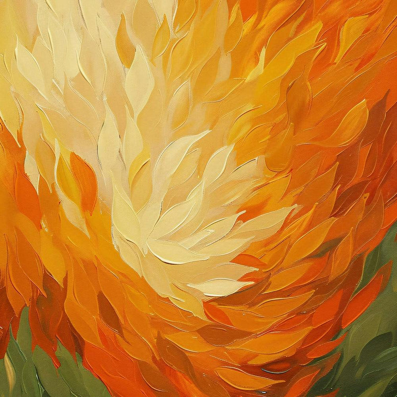 Orange Tulip