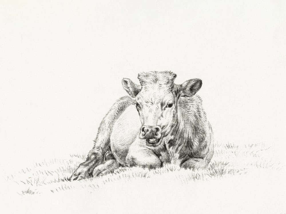 Lying Cow (1821), Jean Bernard