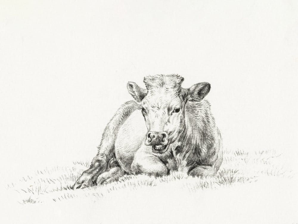Lying Cow (1821), Jean Bernard