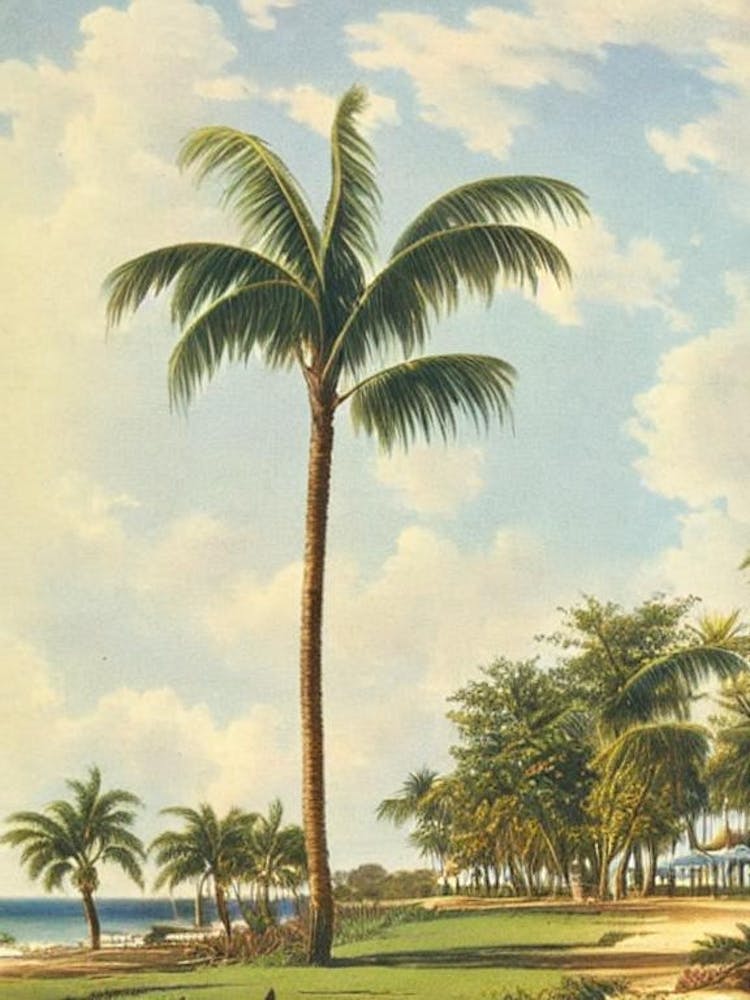 Flynns Beach Australia Vintage