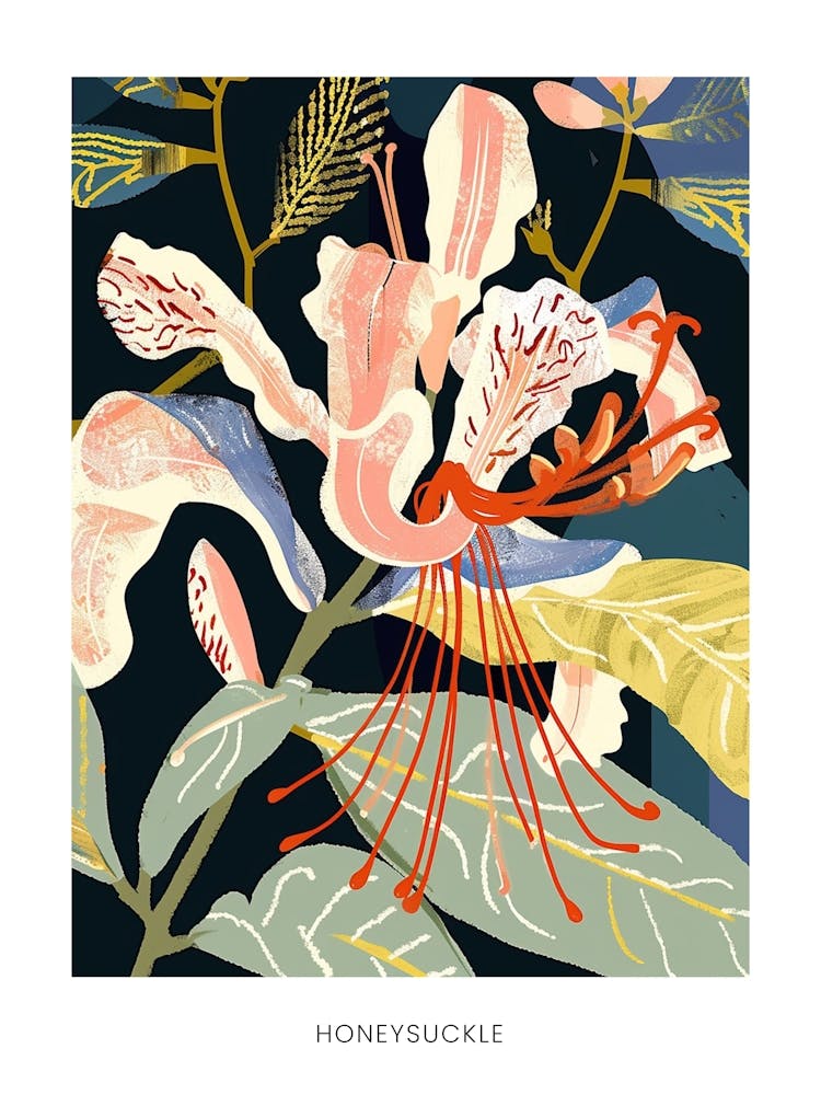 Colourful Flower Illustration Poster Honeysuckle 2