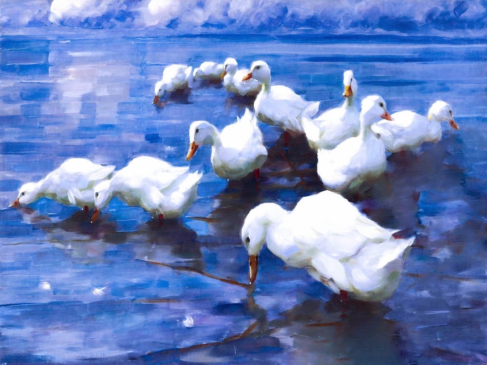 Ducks in lake like a fairy