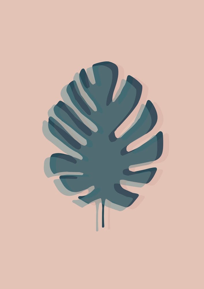 The Solitary Monstera