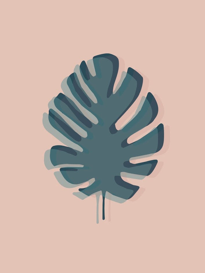 The Solitary Monstera