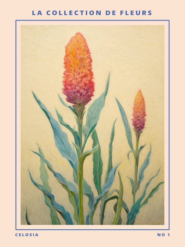 Celosia French Flower Botanical Poster