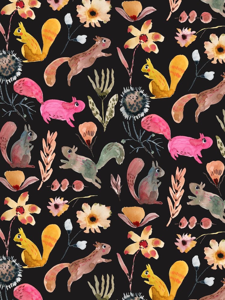 Écureuils des Bois Noir