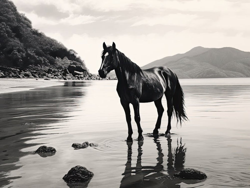 A Horse Oil Painting In Lopes Mendes Beach, Brazil, Landscape 3