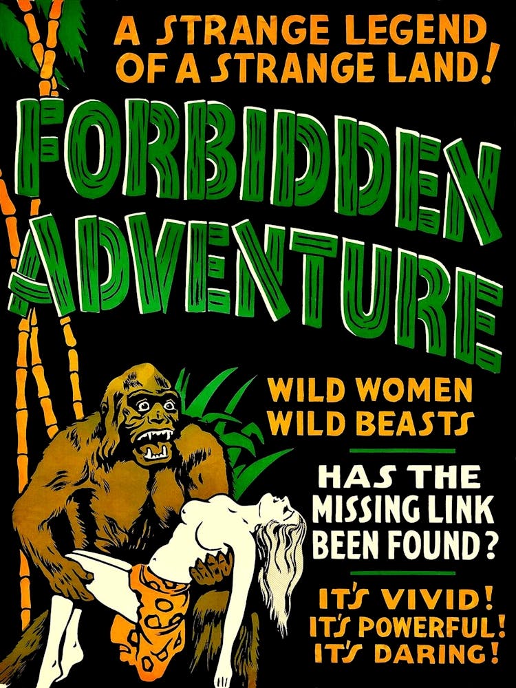 Forbidden Adventure, Movie Poster
