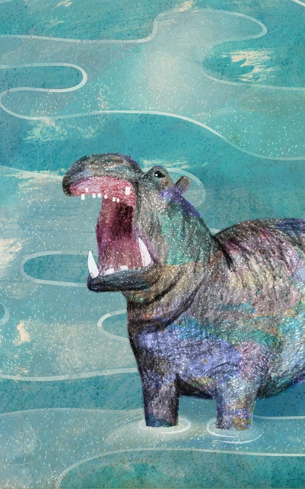 Hippo