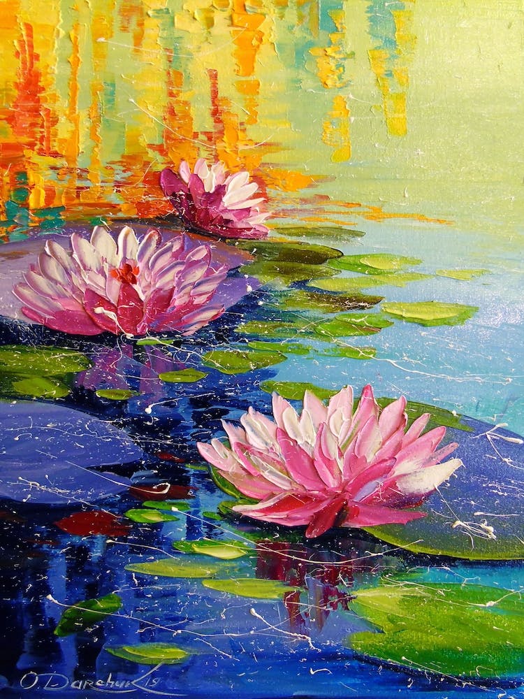 Water lilies in the pond