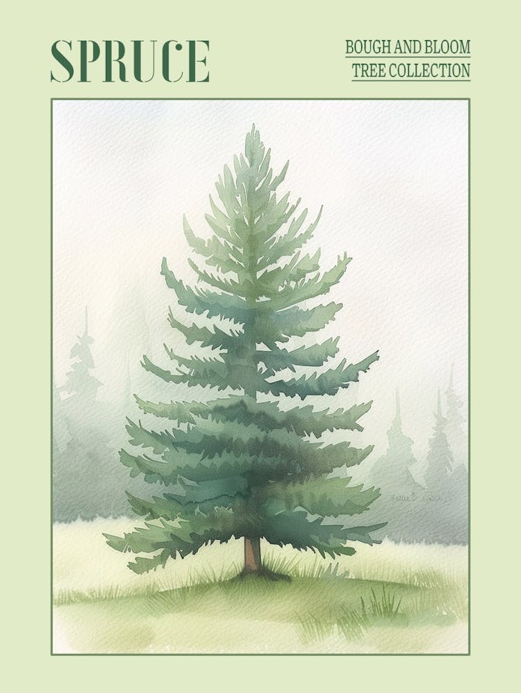 Spruce Tree Atmospheric Watercolour Painting 2 Poster