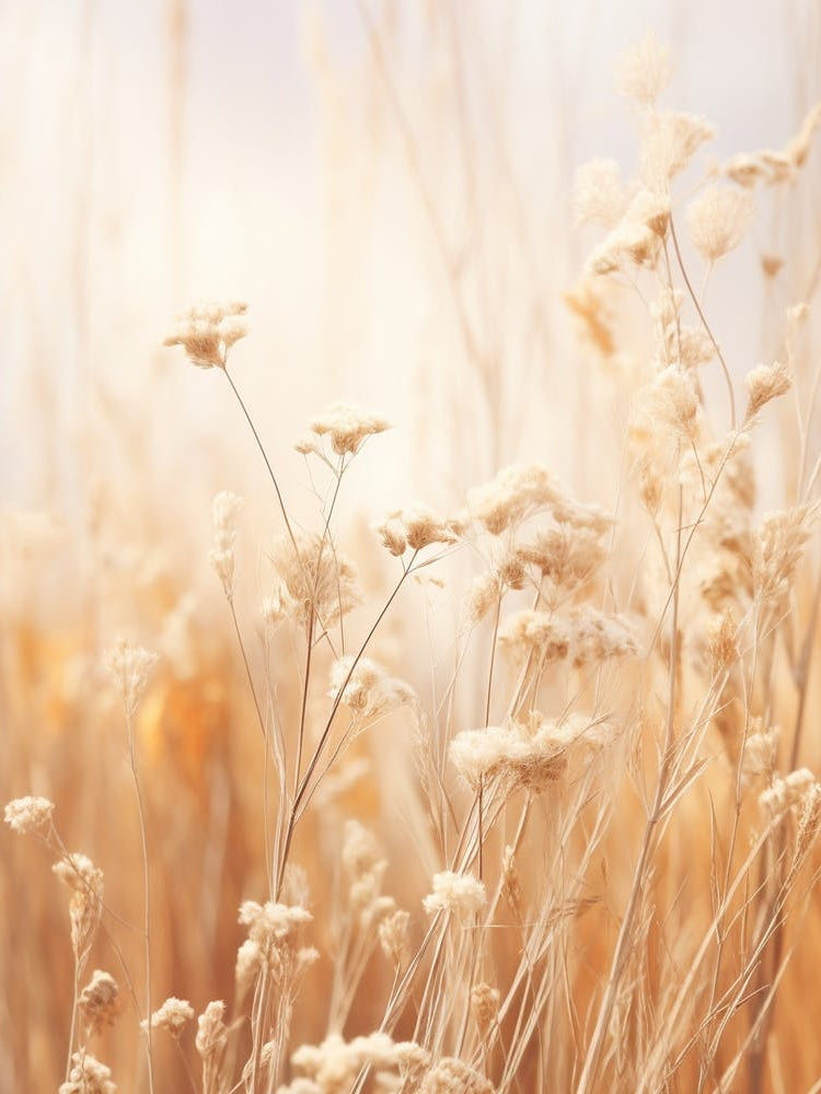 Boho Dried Flowers Forget Me Not 1