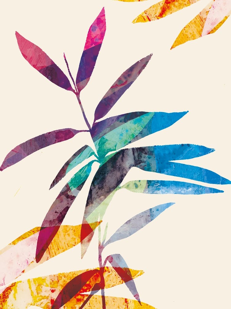 Colourful Leaves5