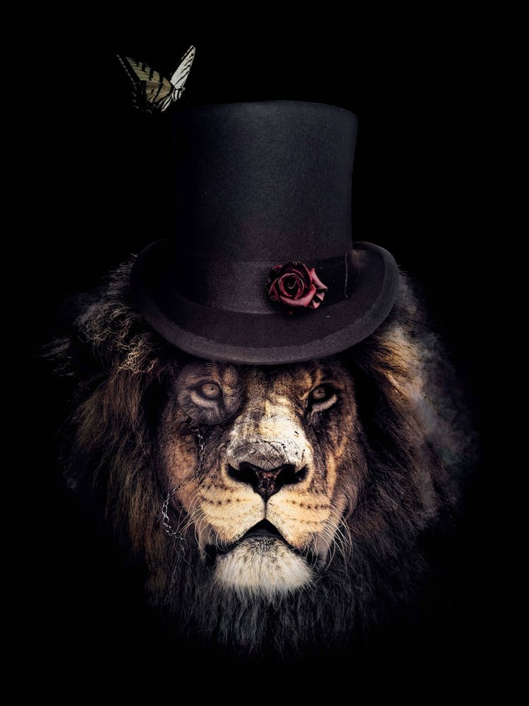 Lion In Top Hat