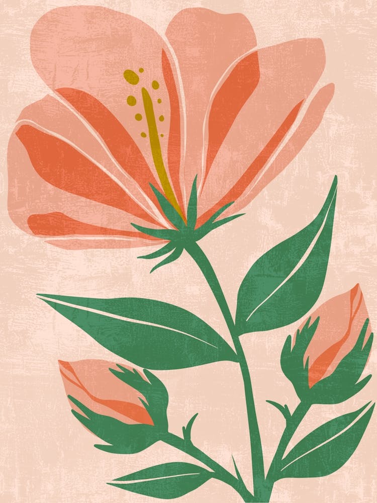 Hibiscus 6