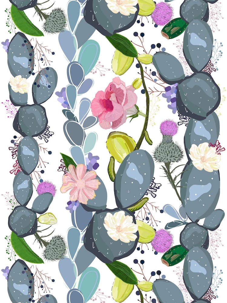 Succulent Cactus