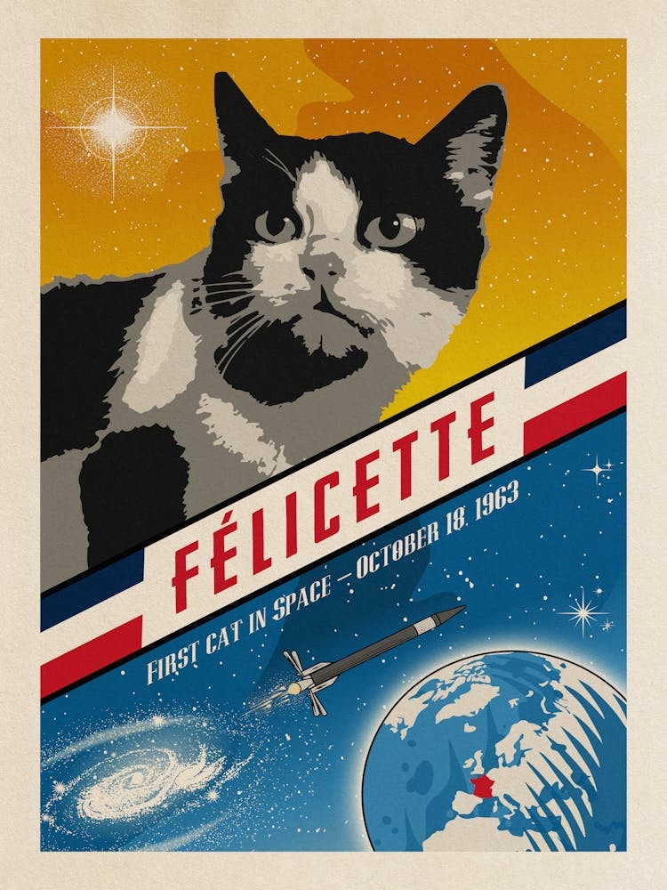 Felicette, First cat in space, France, 1963 — Vintage space poster, retro space art