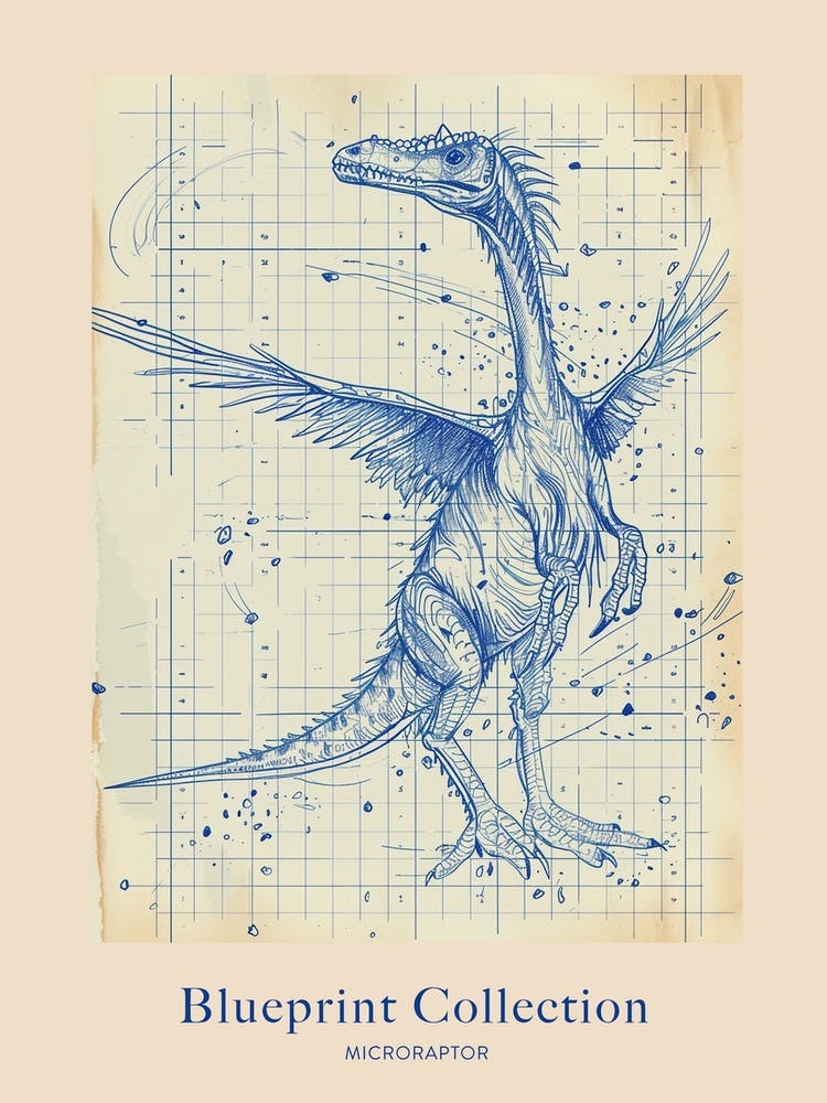 Microraptor Dinosaur Blue Print Sketch 1 Poster