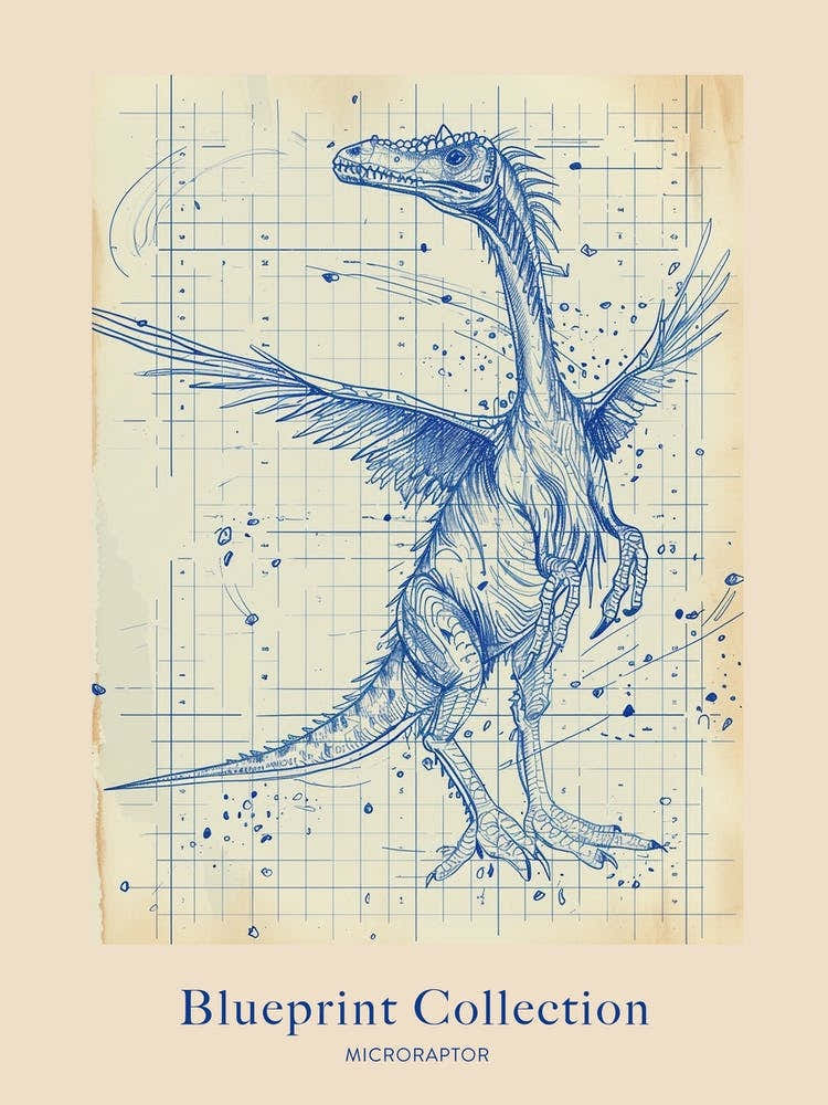 Microraptor Dinosaur Blue Print Sketch 1 Poster
