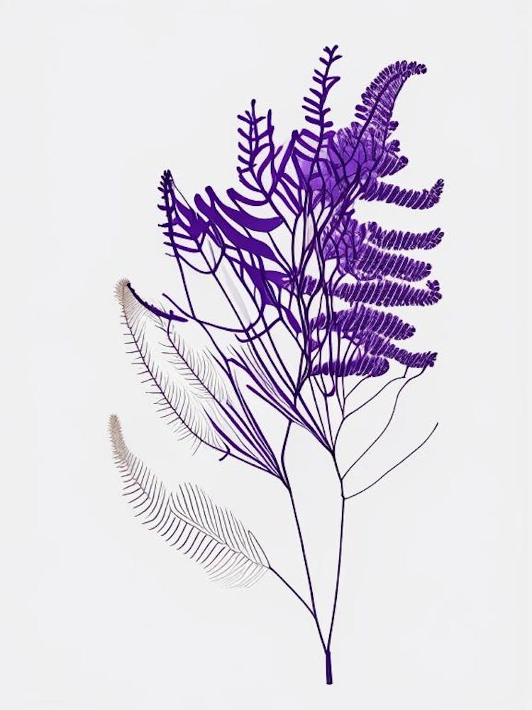 Jacaranda Floral Minimal Line Drawing 1 Flower